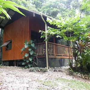 *** Bed & Breakfast Epiphyte Australia